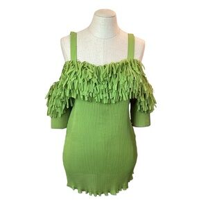 Kaelyn-Max ll Fringe Open Shoulder Stretch Top Green